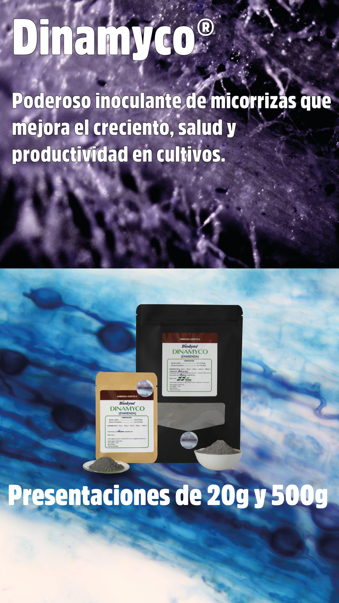 Descripción de la imagen